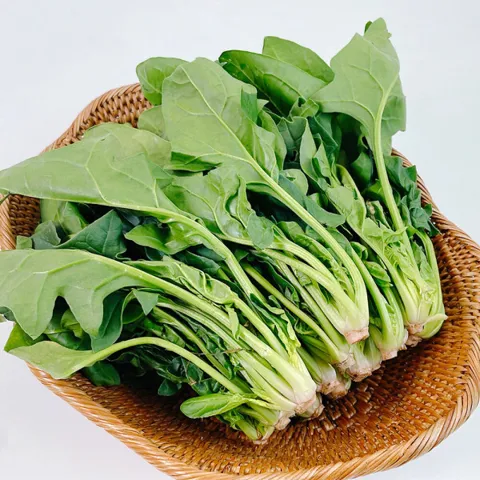국내산 제철 시금치 1kg