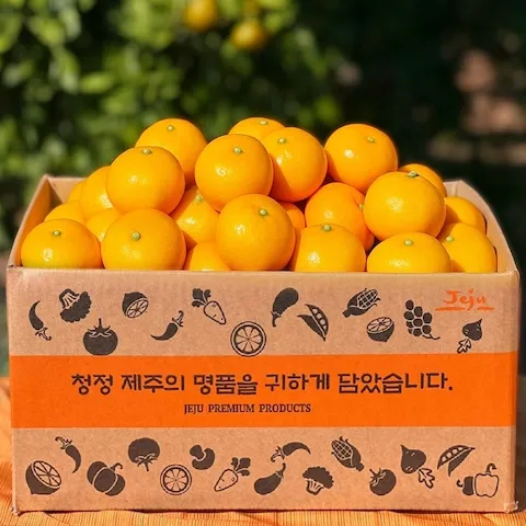 제주 타이벡 감귤 4.5kg