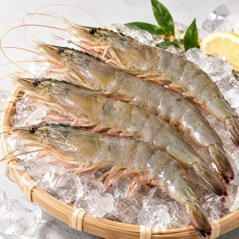 자연산 대하 1kg