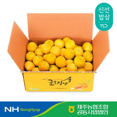 제주농협 귤로장생 하우스감귤 2.5kg 소과