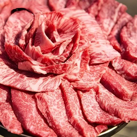 1++한우 특수부위 600g(앞치마살+업진안살+삼각살)