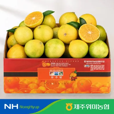 제주 황금향 당도선별 벌크형 3kg(18-24개입)