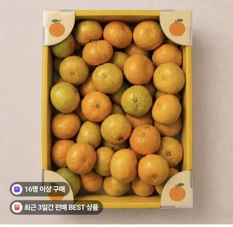 제주 극조생귤10kg