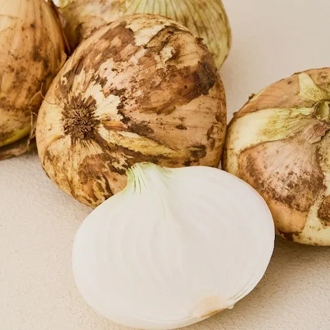 햇 양파 특품 5kg 실중량