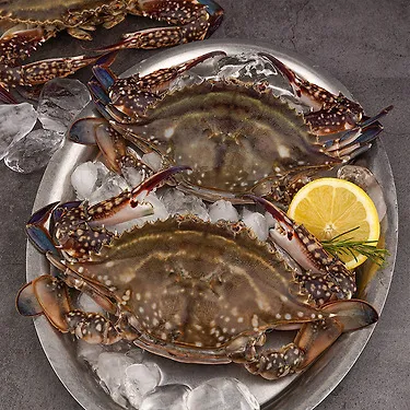 연평도 활 암꽃게 2kg 10-12미