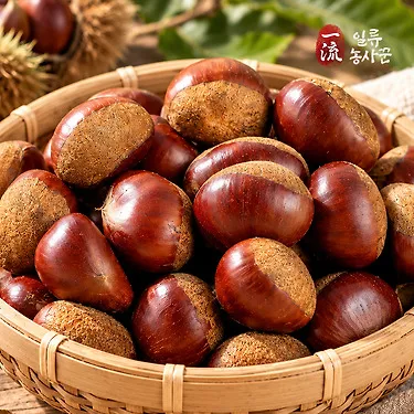 부여 햇밤 대 3kg / 농협선별 무칼집 밤