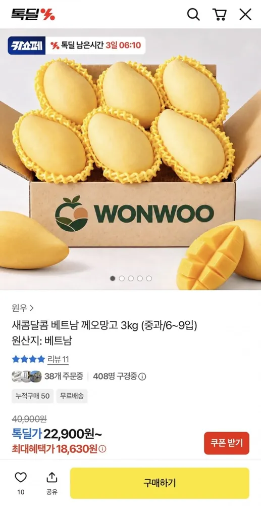[카카오] 베트남 께오망고 3kg (22,900원/무료)