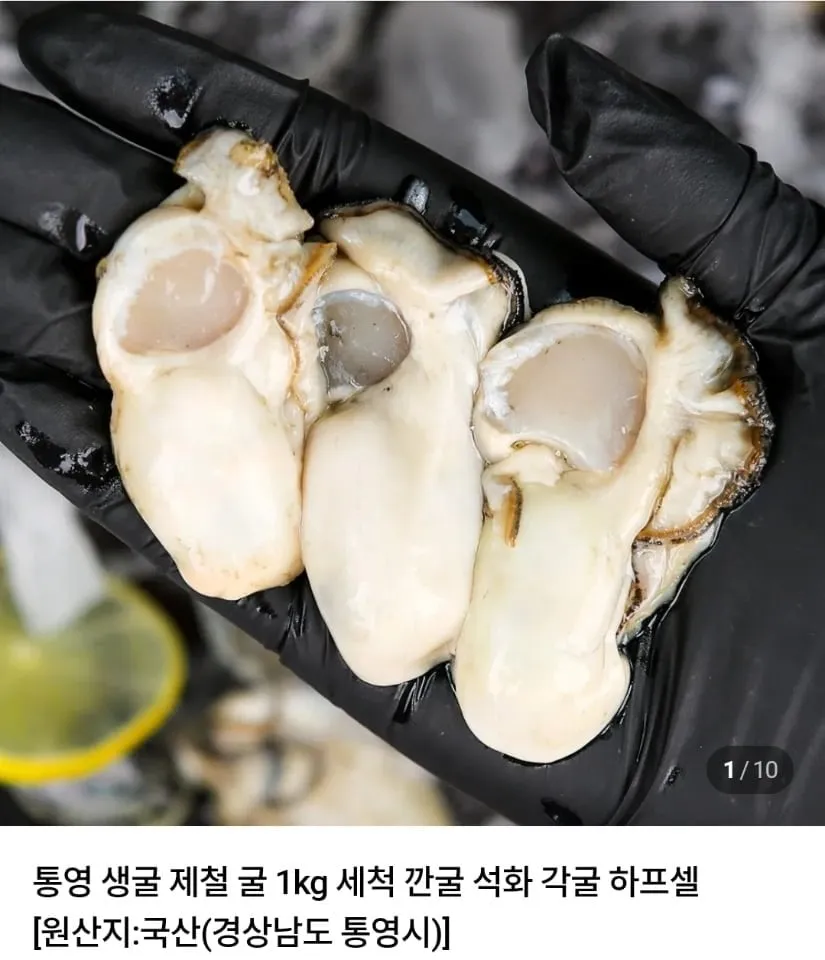 [네이버] 통영 생굴 1kg 9,440원 (9,440원/네멤무료)
