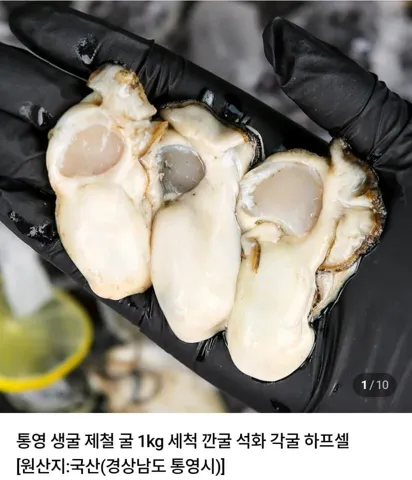 통영 생굴 1kg