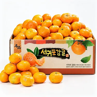 2026 제주직송 타이벡 감귤 4.5kg 로얄과 외 9kg 소과