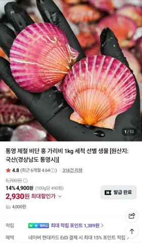 통영 제철 비단 홍가리비 2kg