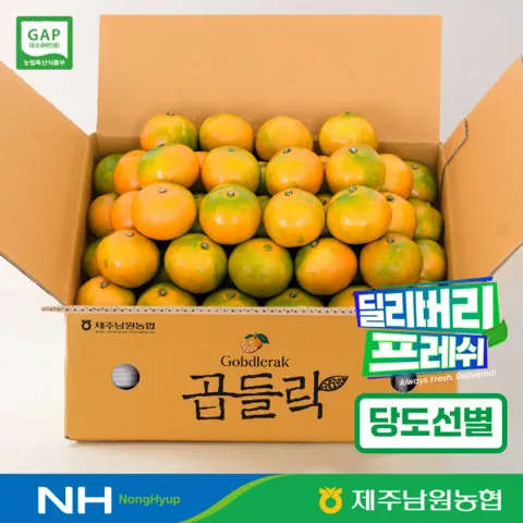 제주남원농협 유라 노지감귤 소과 2kg