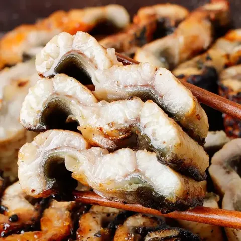고창 풍천장어 자포니카 1kg (700g) 2-4미