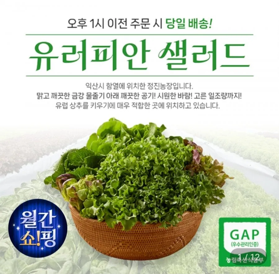 [지마켓] 샐러드상추쌈채소 1kg (6,170원/무료)