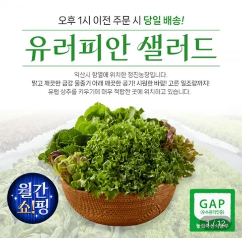 샐러드상추쌈채소 1kg