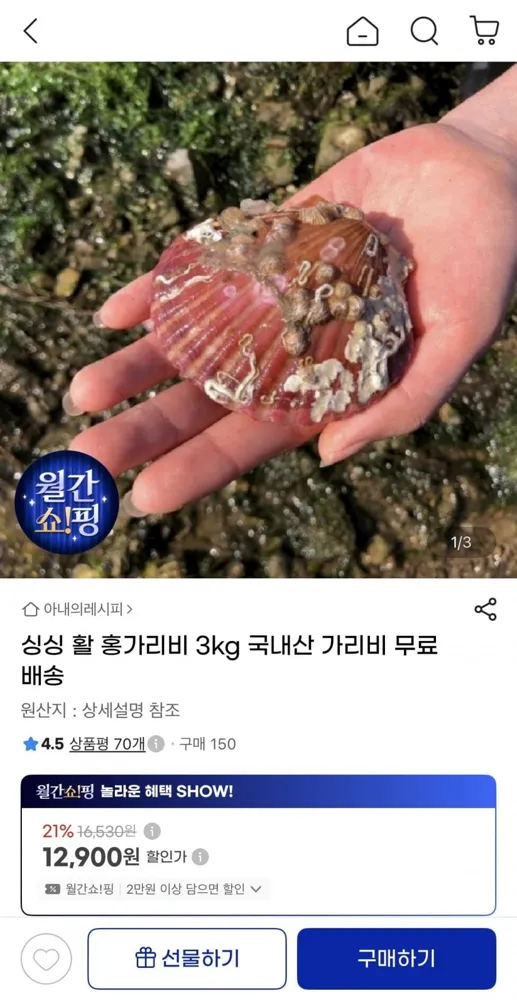 [지마켓] 국내산 활 홍가리비 3kg (12,900원/무배)