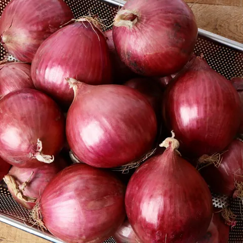 26년 햇 무안 자색양파 3kg 중대혼합