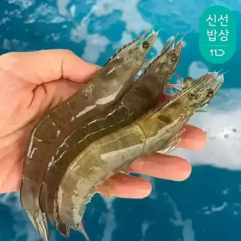 국내산 흰다리새우 생물 1kg 34-37미