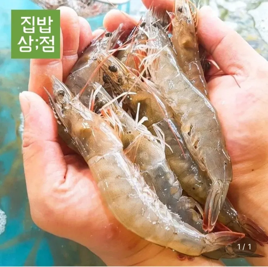 [롯데온] 국내산 활새우 1kg (16,040원/무료)
