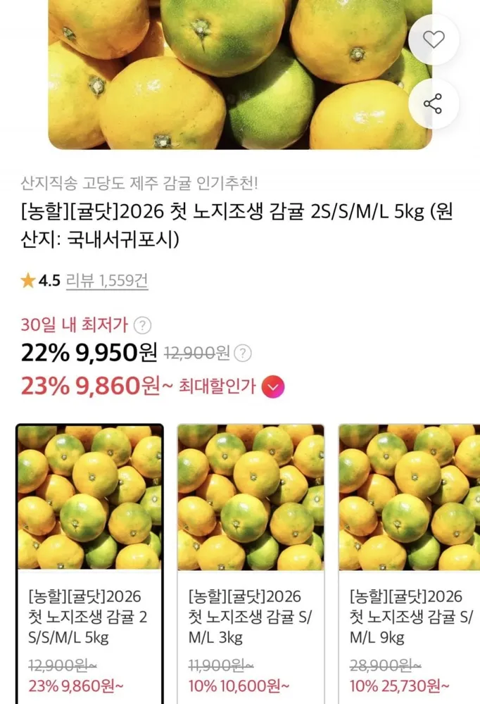 [11번가] 26년 노지조생 감귤 중대과 5kg (9,950원/무료)