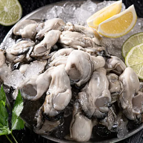 통영 생굴 2kg 산지직송 생굴 회초장 증정 (1kgX2팩)