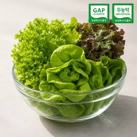 국산 무농약 신선한 샐러드채소 1kg