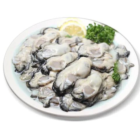 국내산 통영 생굴 1kg