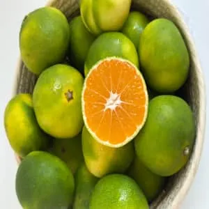 제주산 극조생 햇 감귤(로얄과) 5kg(S-M)