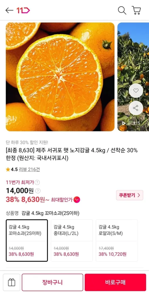 [11번가] 제주 서귀포 햇 노지감귤 4.5kg (8,630원/무료)