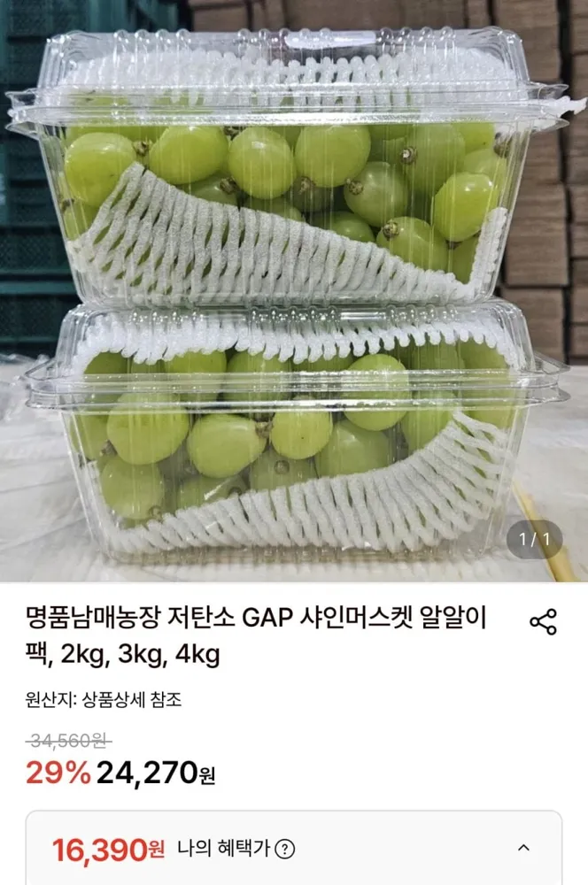 [롯데온] 샤인머스켓 알알이팩 2kg (16,390원/무료)