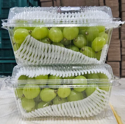 샤인머스켓 알알이팩 2kg