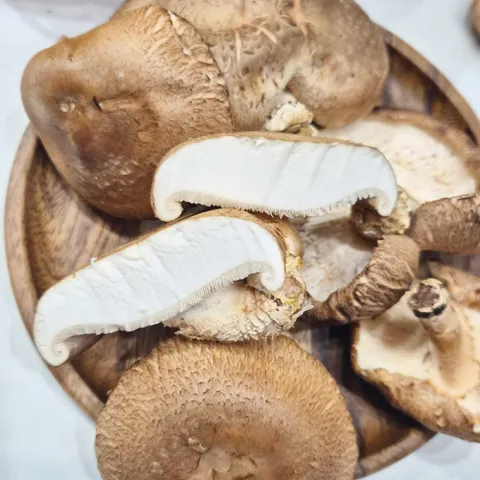 국내산 못난이 생표고버섯 파지 2kg