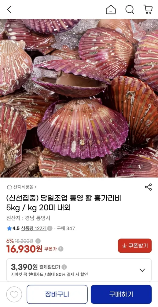 [g마켓] 통영 활 홍가리비 5kg (16,930원/무료)