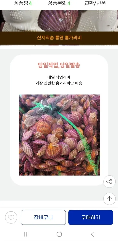 [G마켓]홍가리비 3kg+홍합 1kg 증정(13,970원/무배)