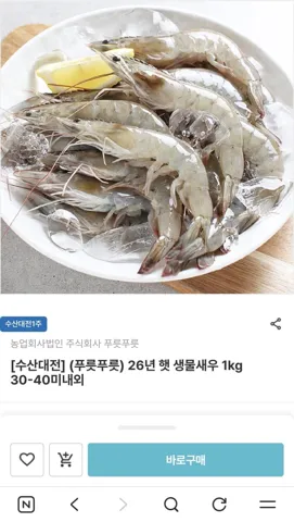 26년 햇 생물새우 1kg