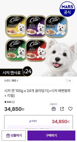 시저 캔 100g 24개