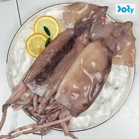 자연산 손질 통오징어 1.1kg