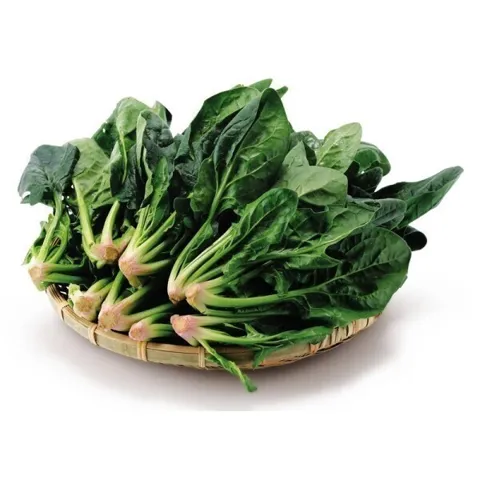 국내산 시금치2kg