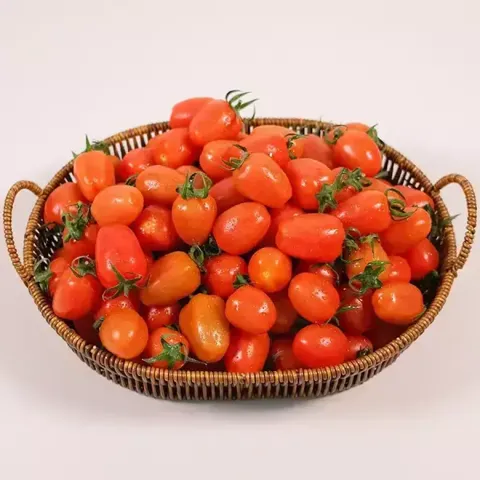 국내산 대추방울토마토 2kg 1-3번 혼합과