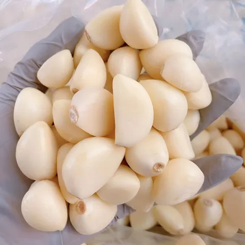 26년 국내산 무안 깐마늘 500g