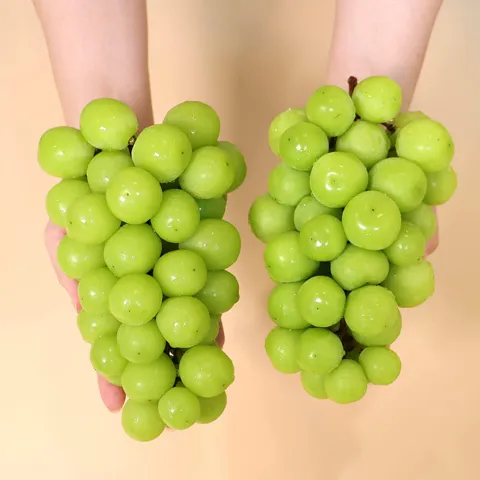 당도선별 국내산 샤인머스켓 1kg 1-2수