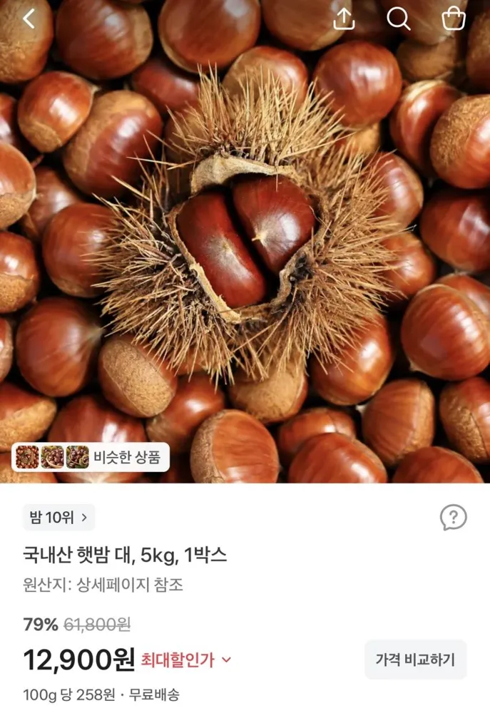 국내산 햇밤 대 5kg 12,900원