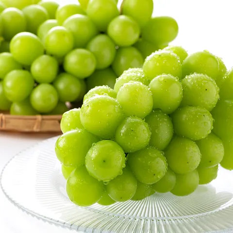 샤인머스켓 2~3수 1kg
