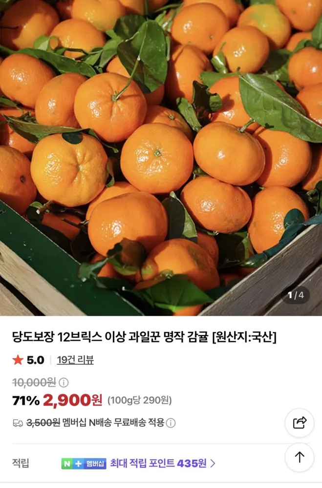 고당도 명작 감귤 1kg 2,900원