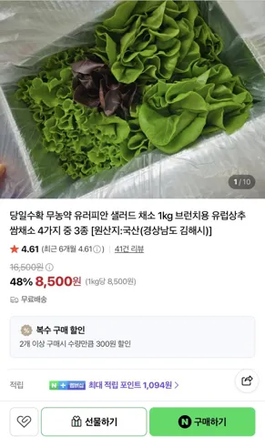유러피안 샐러드 1kg