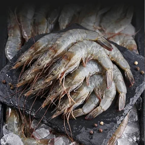 국내산 활 대하 흰다리새우 1kg 35미 내외 13,670원 무료배송
