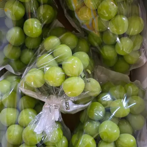 샤인 머스캣 4kg (10수 내외)