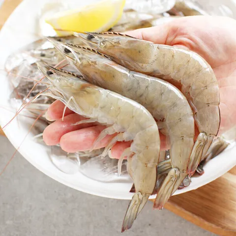 생물 새우 1kg 35미내외 당일새벽 조업분 출고 100%국내산