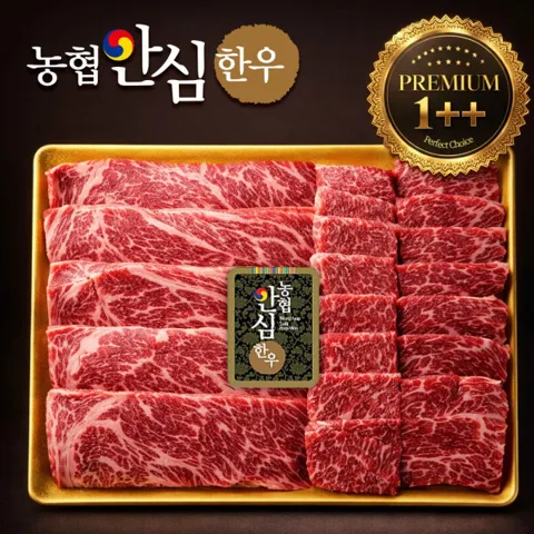 농협안심한우 프리미엄 1++ 한우 구이용 세트 600g