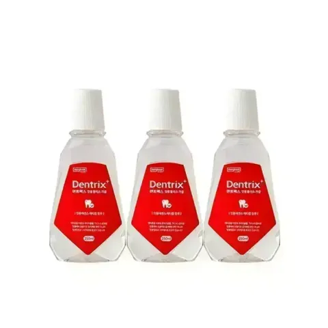 덴트릭스 가글액 플러스 250ml 3개